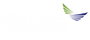 Hytera Yetkili Satıcısı