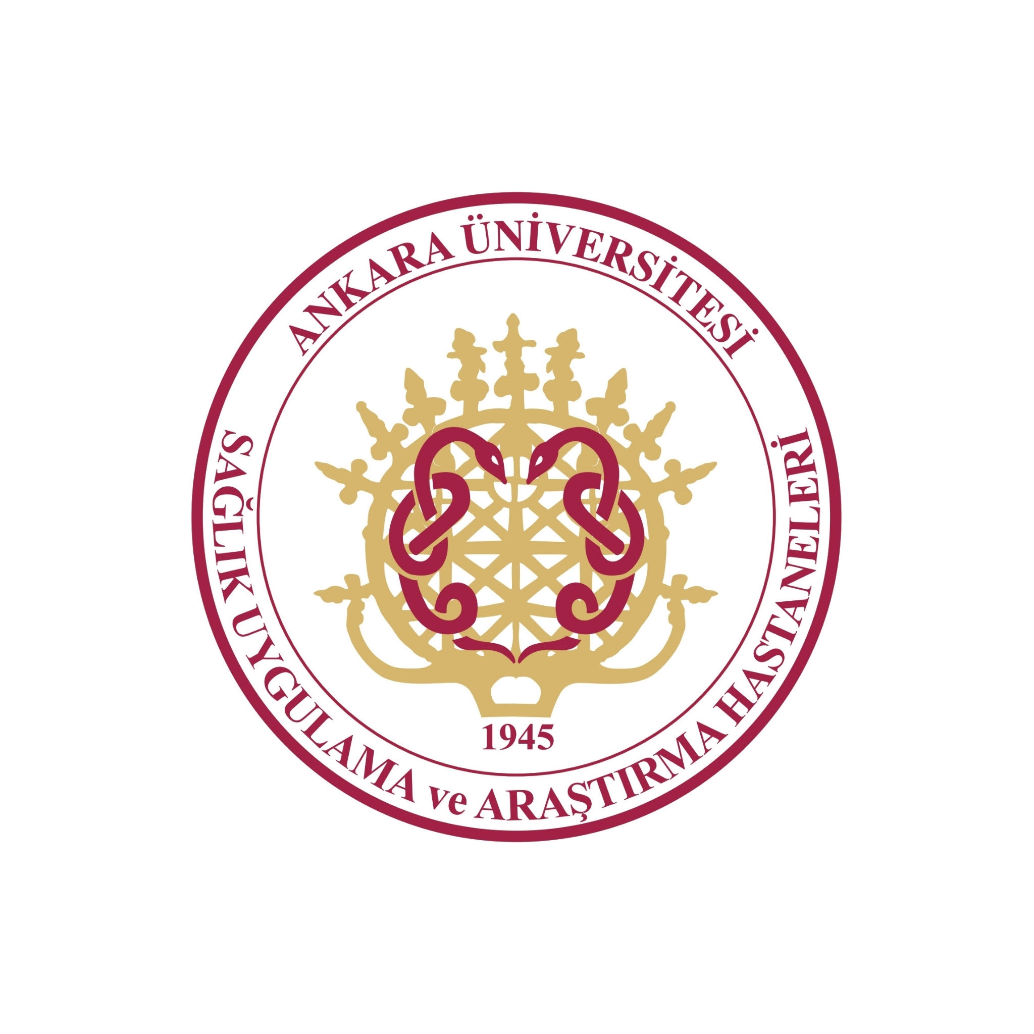Ankara Üniversitesi Görsel